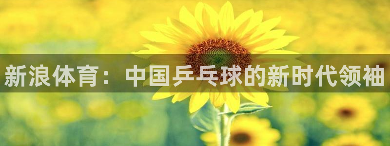 nba在线直播免费观看直播蜘蛛直播：新浪体育：中国乒乓球的新时代领袖