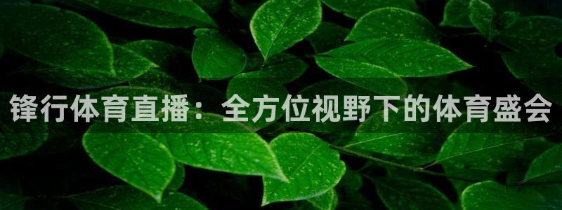蜘蛛直播体育篮球：锋行体育直播：全方位视野下的体育盛会