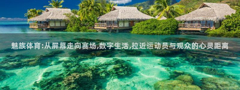 jrs蜘蛛直播nba免费：魅族体育:从屏幕走向赛场,数字生活,拉近运动员与观众的心灵距离