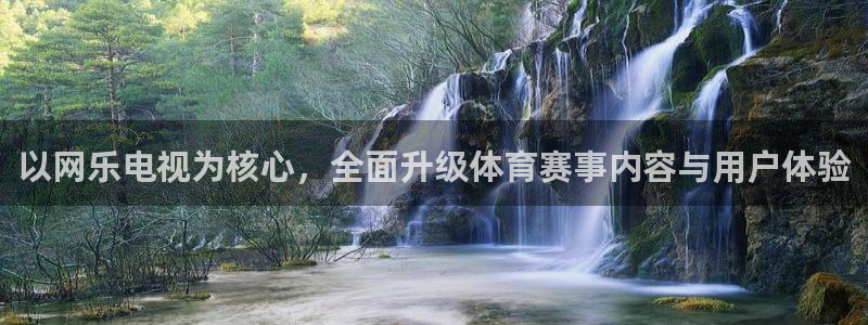 蜘蛛体育直播免费高清在线观看：以网乐电视为核心，全面升级体育赛事内容与用户体验