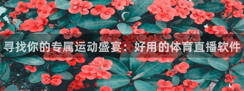nba直播蜘蛛直播：寻找你的专属运动盛宴：好用的体育直播软件