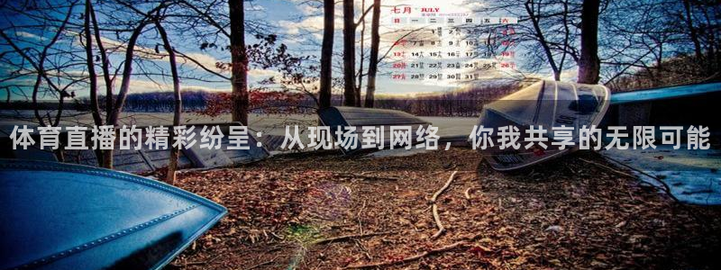 蜘蛛体育小狐狸：体育直播的精彩纷呈：从现场到网络，你我共享的无限可能
