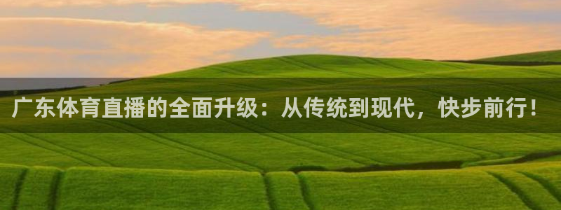 蜘蛛直播nba免费观看：广东体育直播的全面升级：从传统到现代，快步前行！