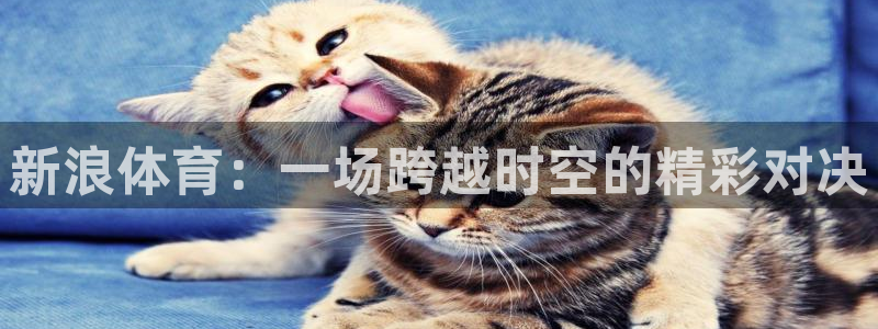 蜘蛛直播 nba：新浪体育：一场跨越时空的精彩对决